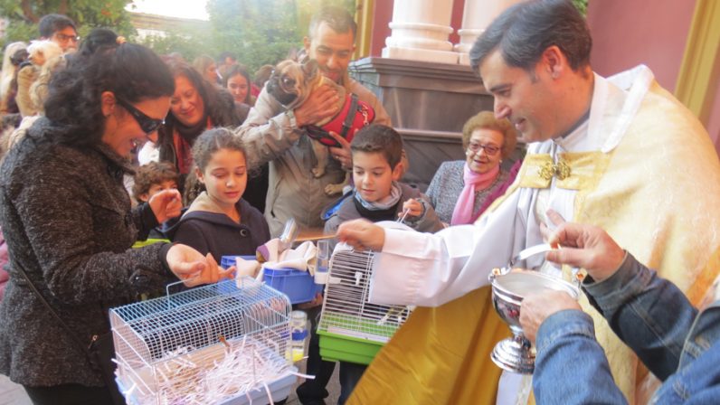 Bendición de mascotas en las parroquias sevillanas en recuerdo a San Antonio Abad