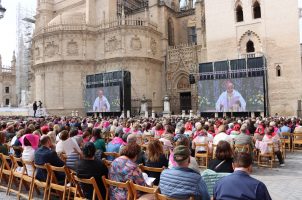 Padre José Torres Padilla, nuevo beato de la Iglesia